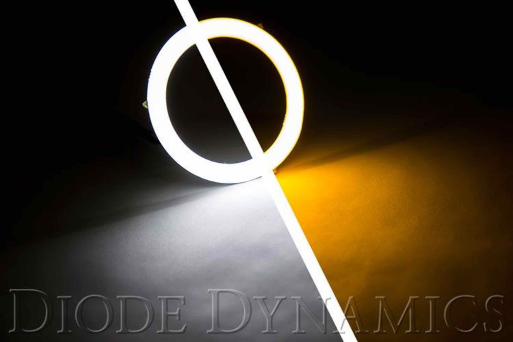 Halos: Diode Dynamics HD