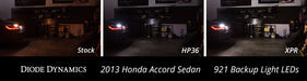 Backup LEDs for 2013-2020 Honda Accord (Pair) HP5 (92 Lumens) Diode Dynamics