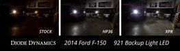 Backup LEDs for 2009-2014 Ford F-150 (Pair) XPR (720 Lumens) Diode Dynamics (Pair)