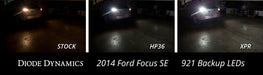 Backup LEDs for 2000-2018 Ford Focus (Pair) XPR (720 Lumens) Diode Dynamics (Pair)