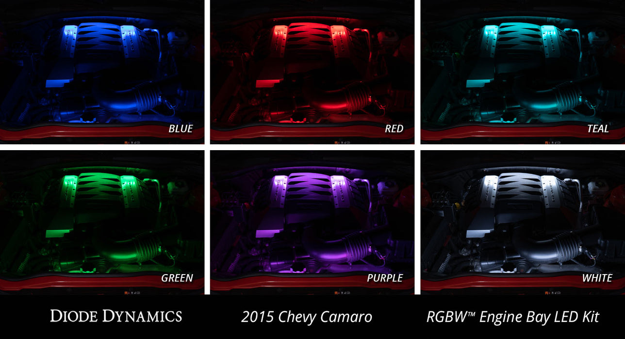 RGBW Engine Bay Strip Kit 4pc Multicolor Diode Dynamics (Kit)