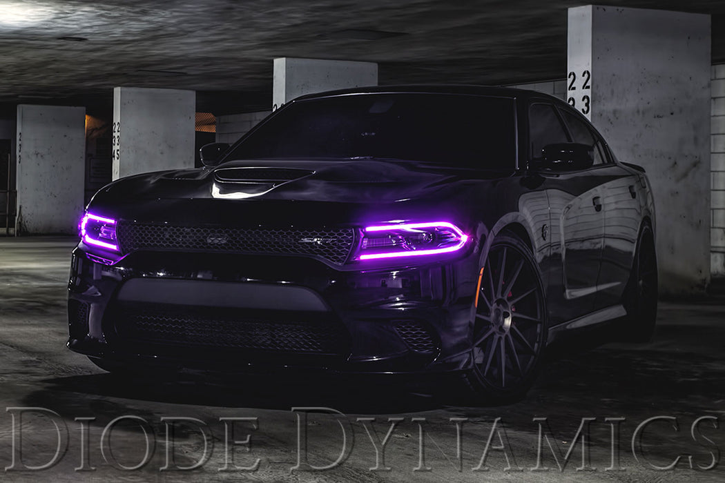 2015-2016 Dodge Charger RGBW DRL LED Boards Diode Dynamics (Kit)