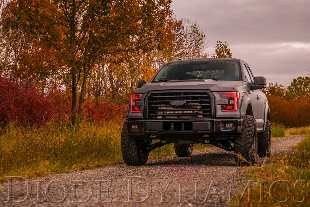 2015-2016 Ford F-150 RGBW LED Boards Diode Dynamics (Kit)