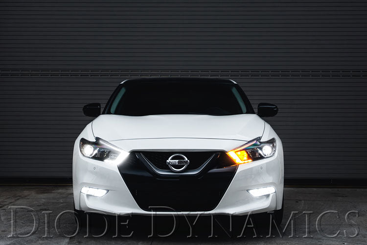 2016 Nissan Maxima SB DRL LED Boards Diode Dynamics (Kit)