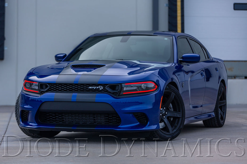2019 Dodge Charger Multicolor LED Boards Diode Dynamics (Pair)